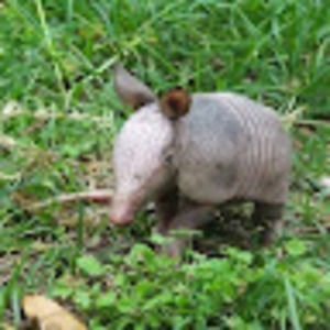 Meet your Posher, Drew